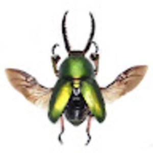 Meet your Posher, Jayda